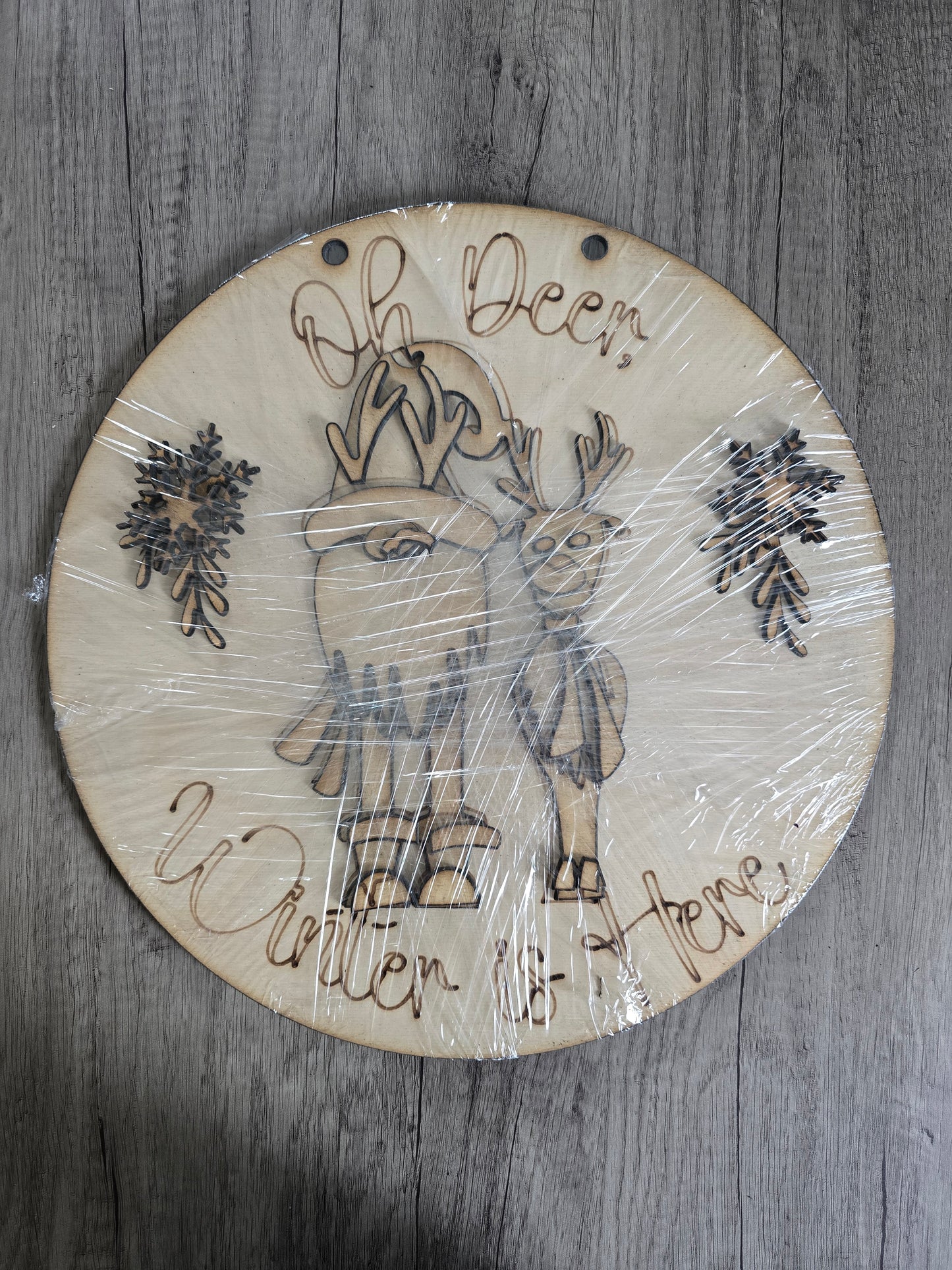 Winter Door Hangers – 15" Paint-Your-Own Round Signs