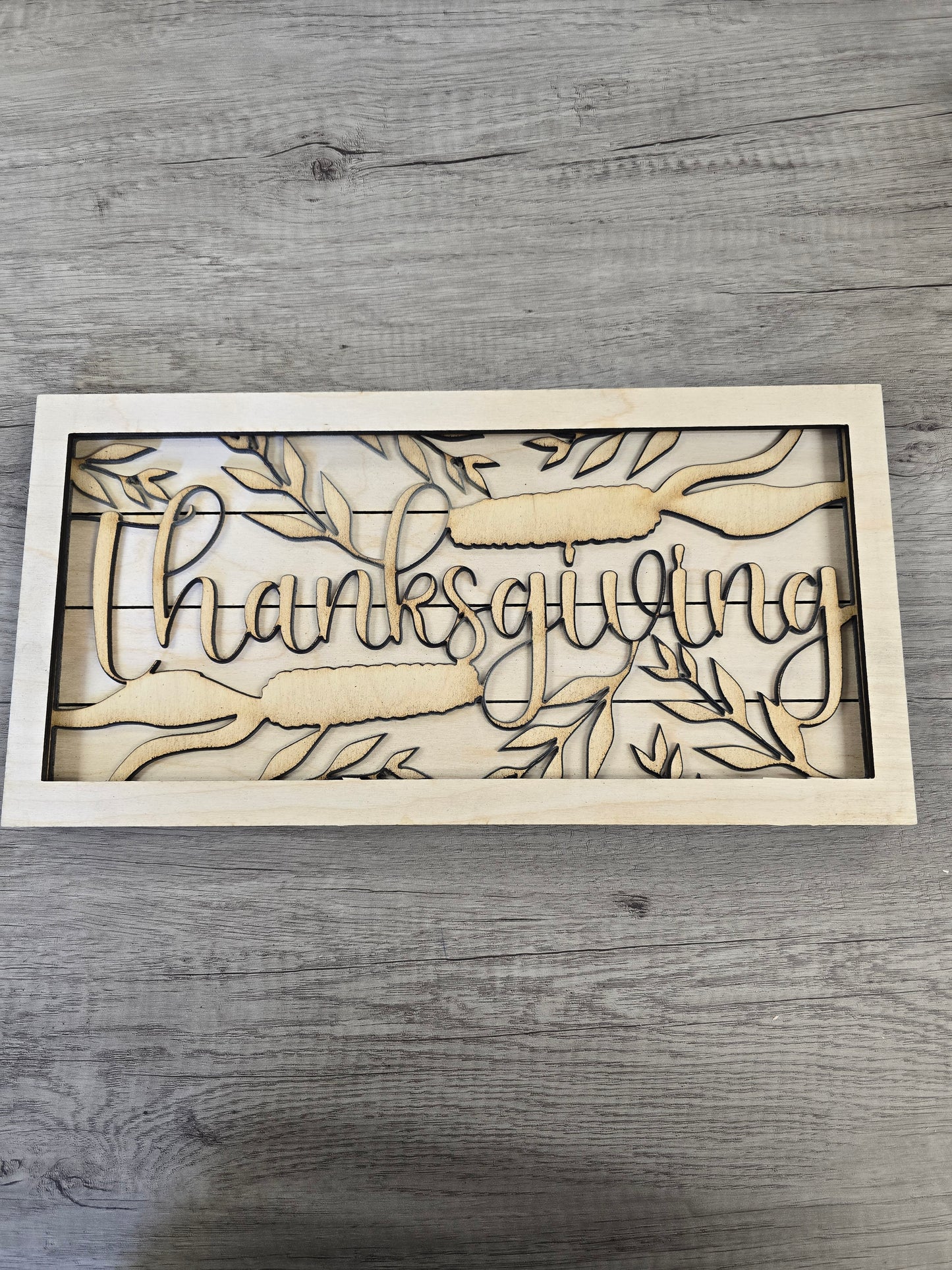 Framed Interchangeable Insert